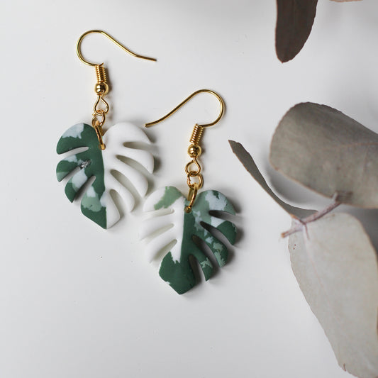 Mini Variegated monsteras