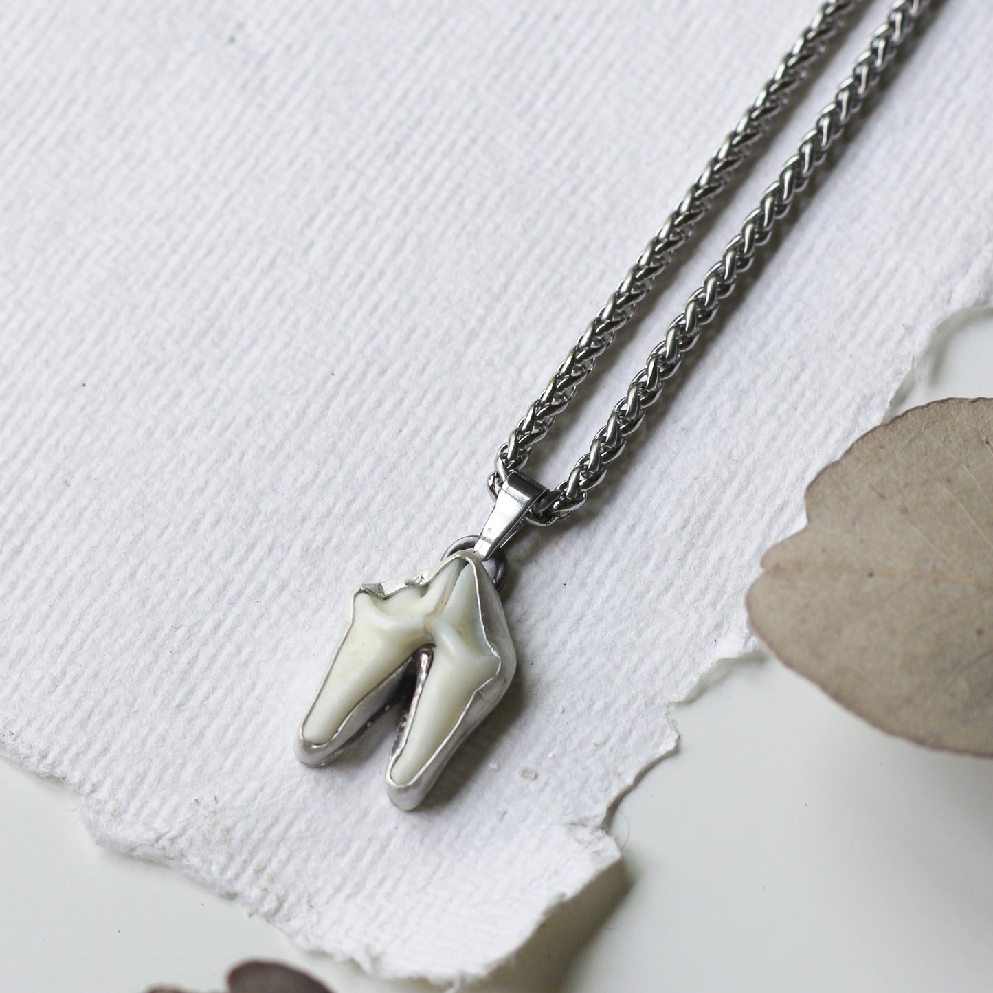 Tooth necklace