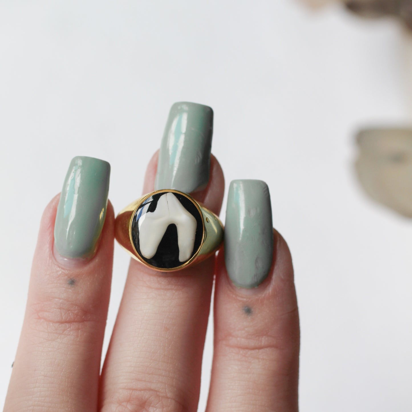 Gold Tooth Signet Ring