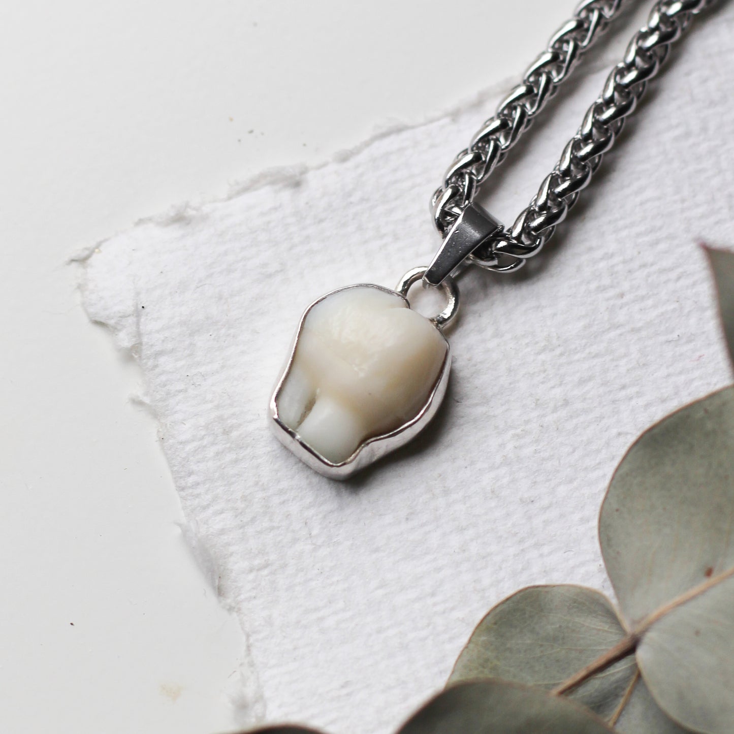 Custom Large Tooth Necklace