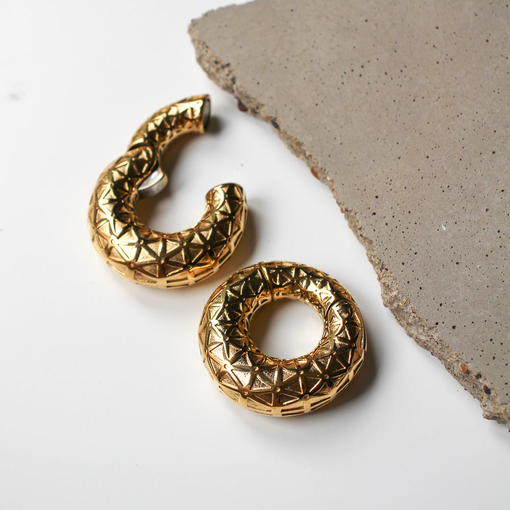 Gold Ear Weights