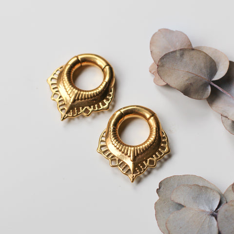 Gold Ear Weights