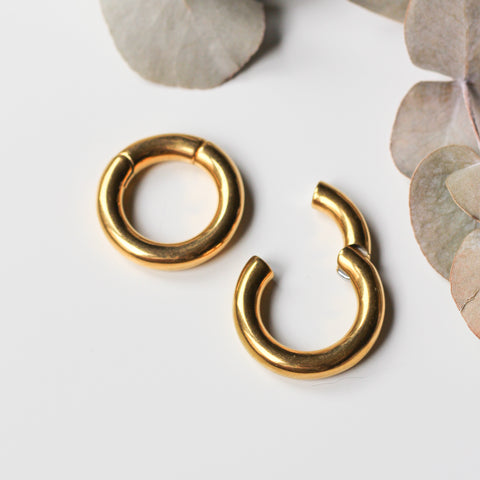 Gold Ear Weights