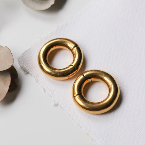 Gold Ear Weights