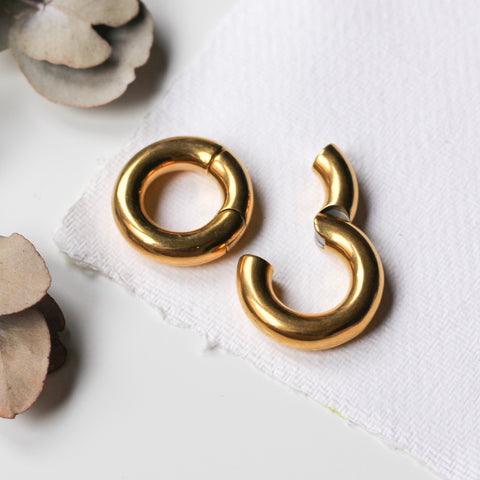 Gold Ear Weights