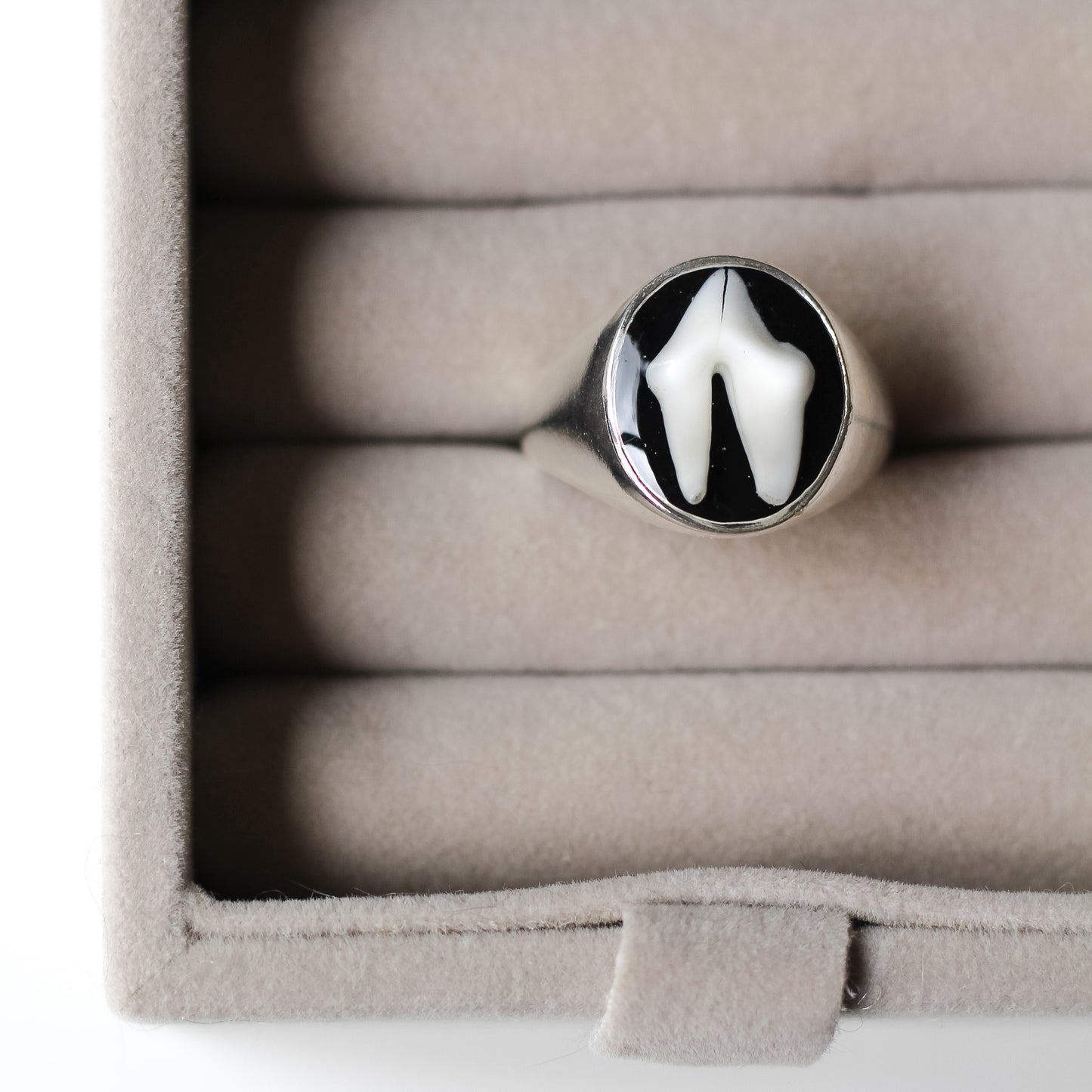 Tooth Signet Ring