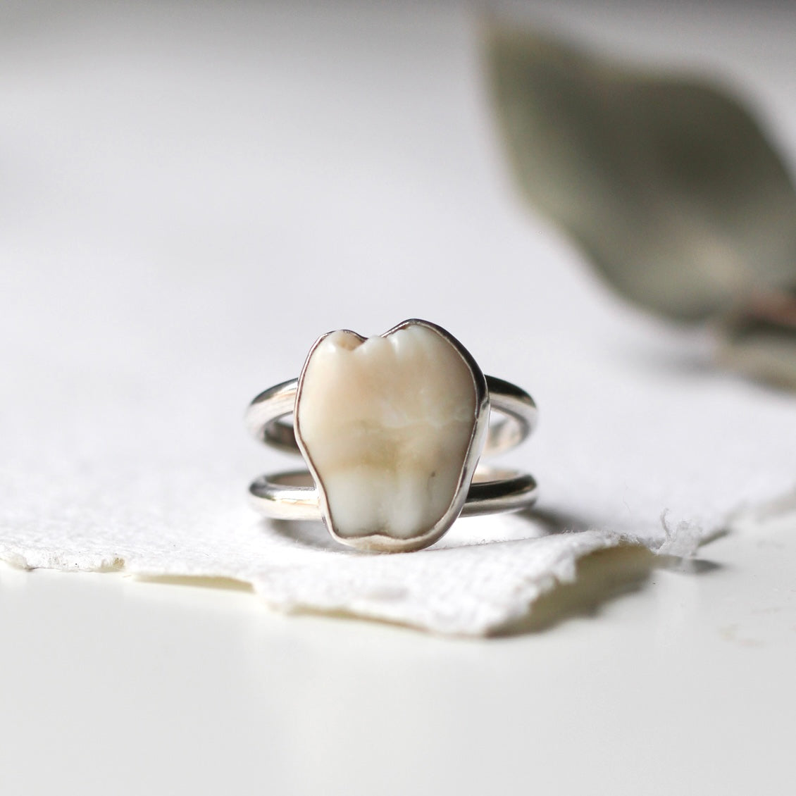 Toot Rigs Custom Large Tooth Ring – Dreadful pigeon