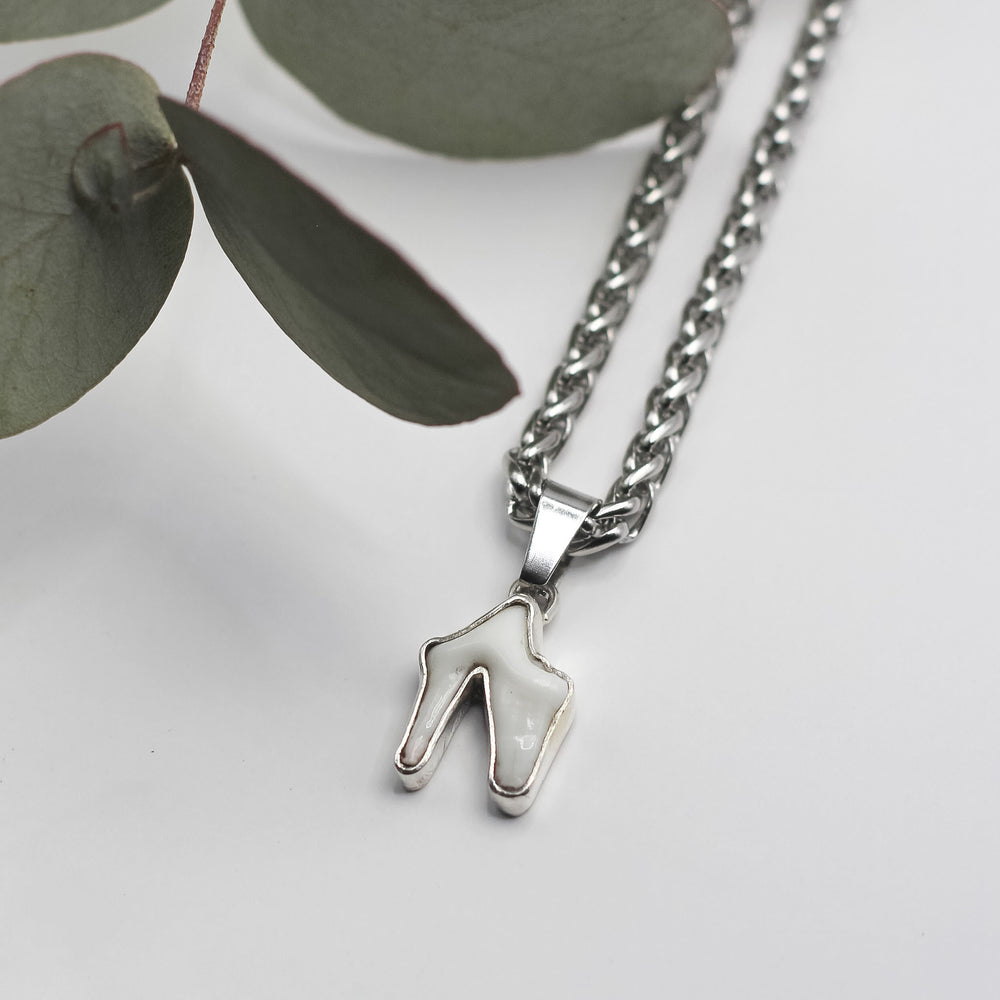Tooth necklace