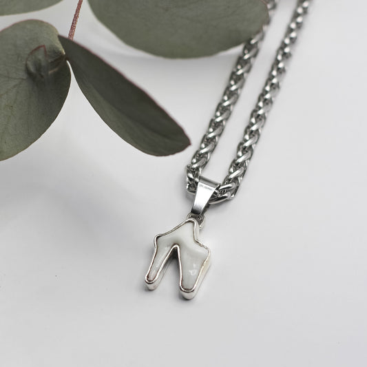 Tooth necklace