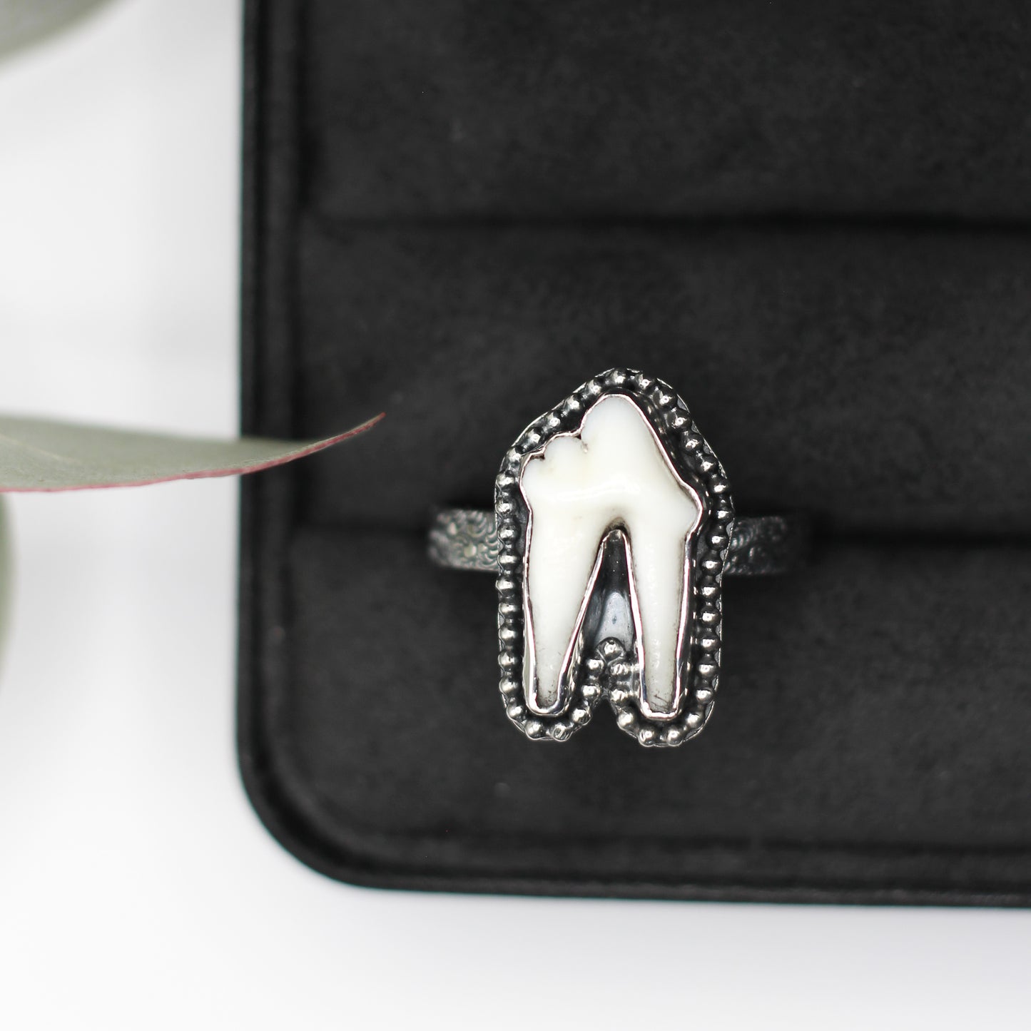 Tooth Ring