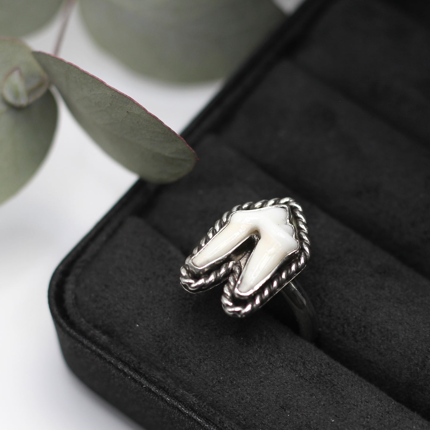 Tooth Ring