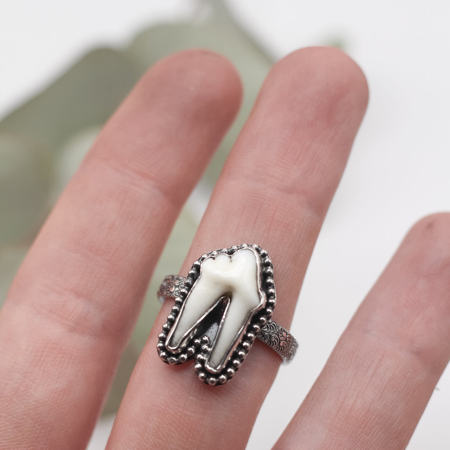 Tooth Ring