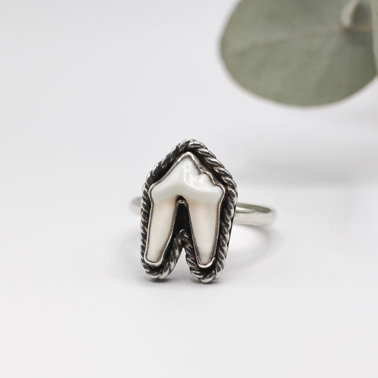 Tooth Ring