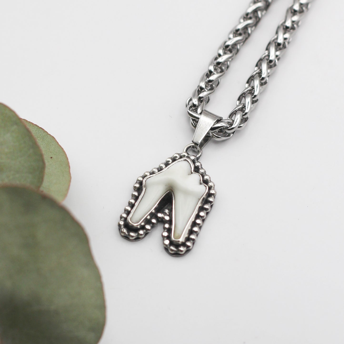 Tooth necklace